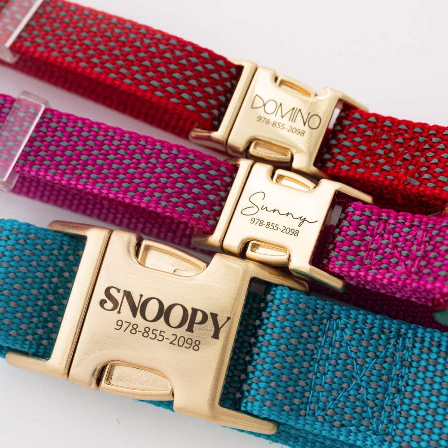 Custom Engraved Reflective Nylon Dog Collar