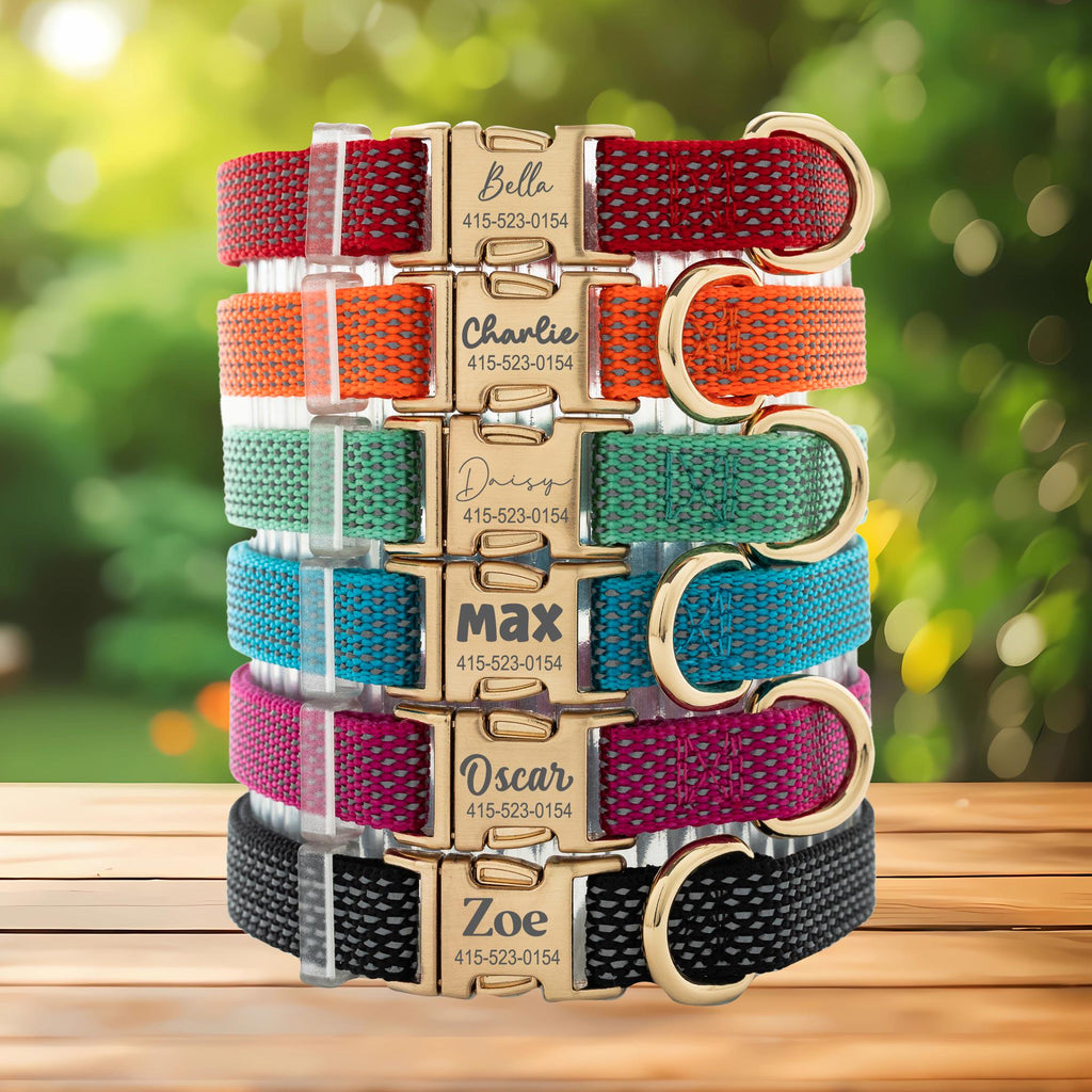 Custom Engraved Reflective Nylon Dog Collar