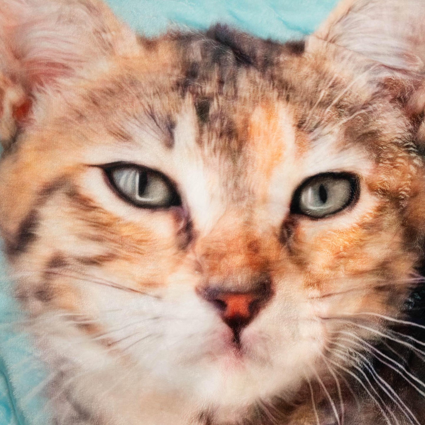 Custom Minky Pet Photo Blanket with Name