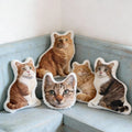 Custom Pet Shaped Pillow from Photo