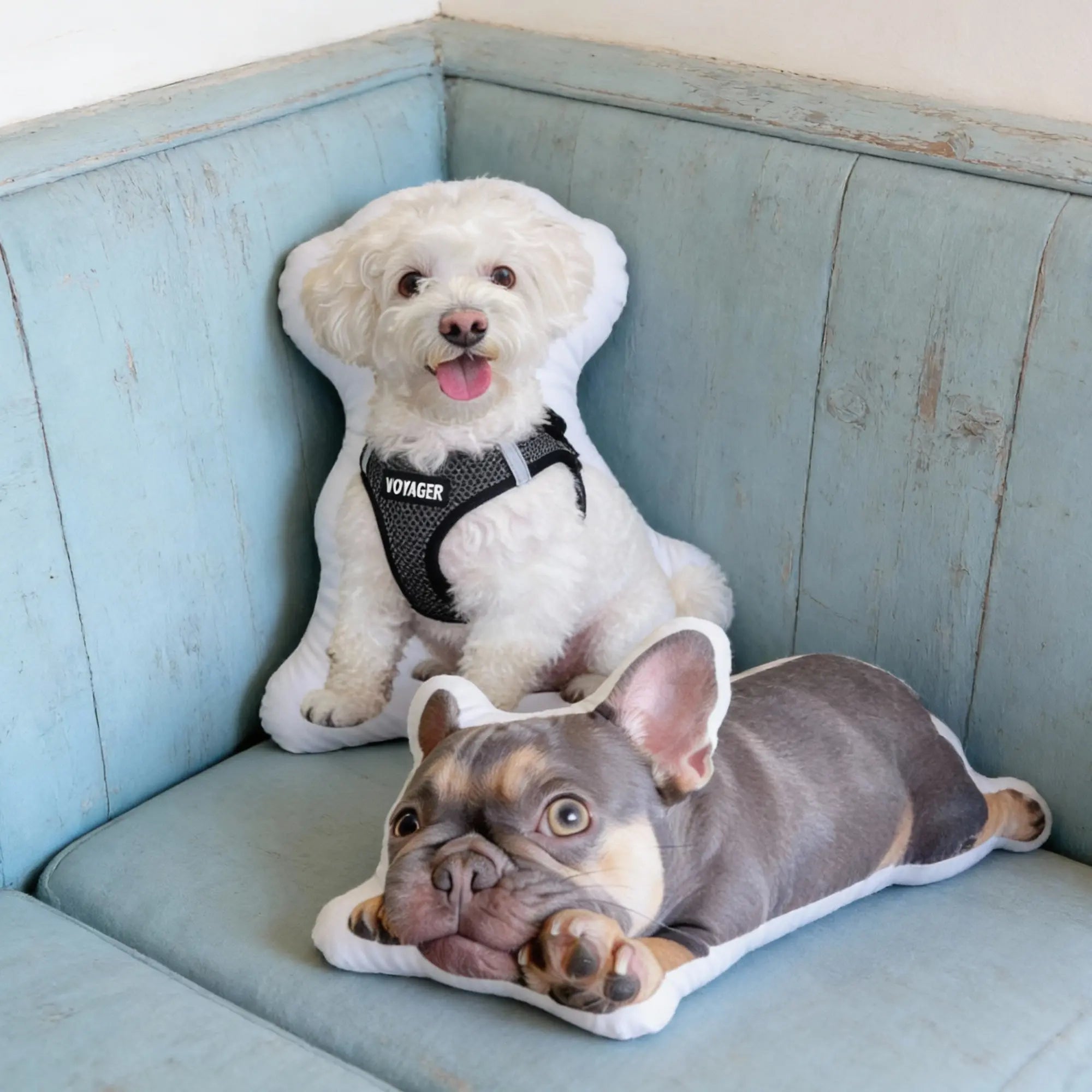 Custom Pet Shaped Pillow from Photo