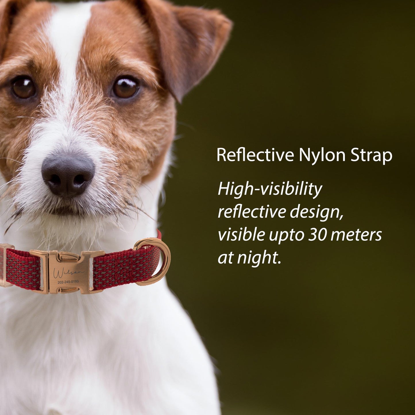 Custom Engraved Reflective Nylon Dog Collar