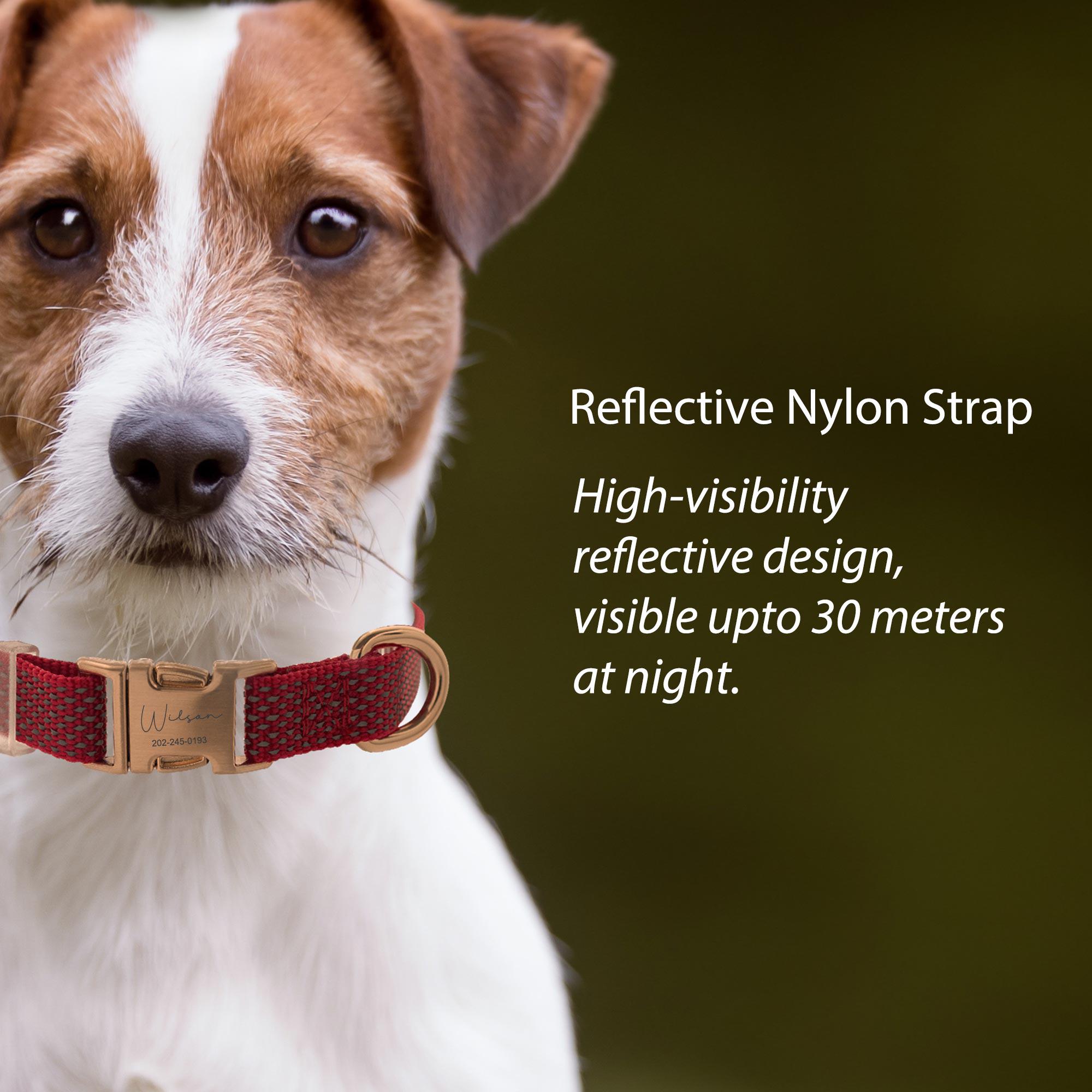 Custom Engraved Reflective Nylon Dog Collar