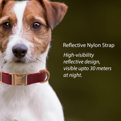 Custom Engraved Reflective Nylon Dog Collar