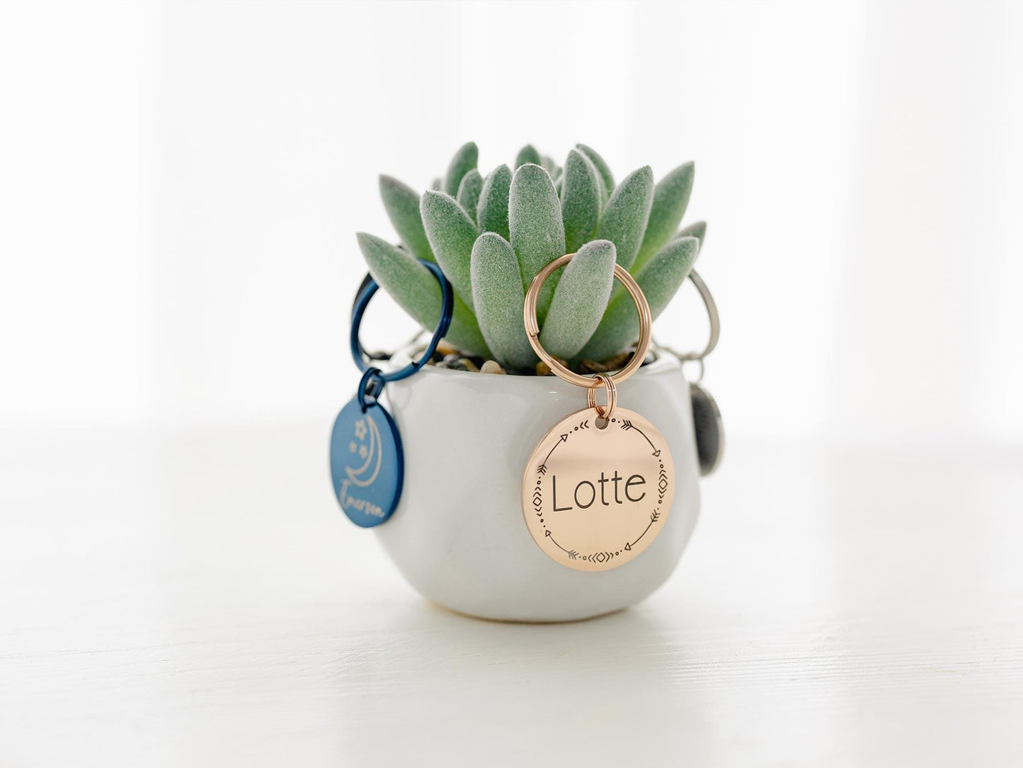 Personalized Pet ID Tag: Engraved Dog Name, Silent Design