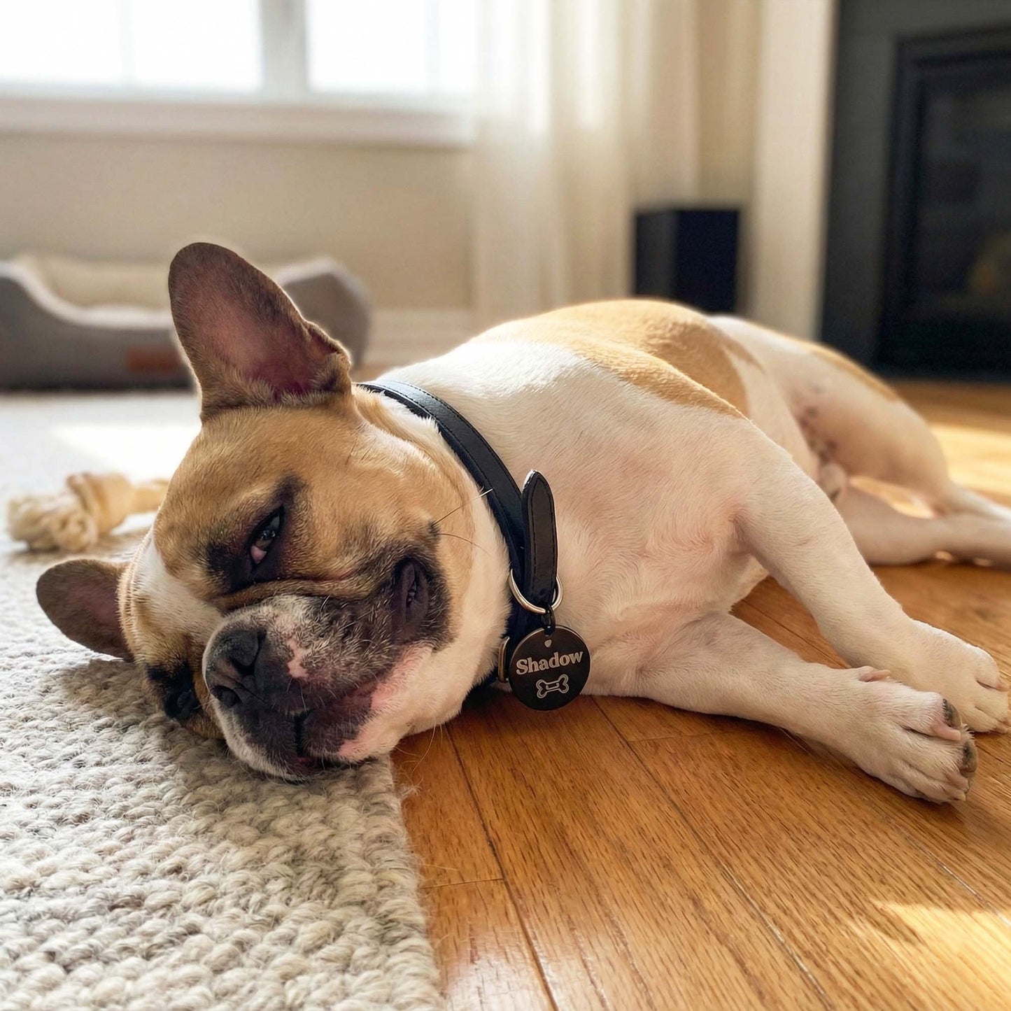 Personalized Pet ID Tag: Engraved Dog Name, Silent Design